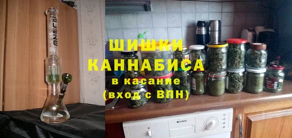 спайс Богданович